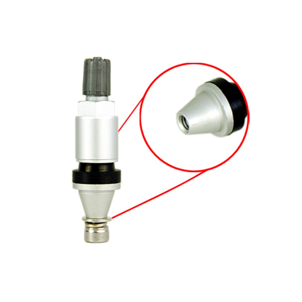 TPMS replacement valve - 09