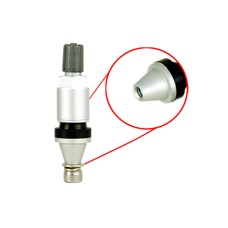 TPMS replacement valve - 09